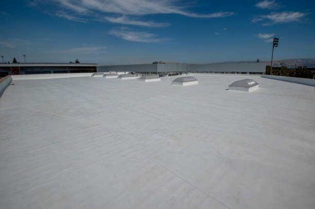 Best Roof Moss and Algae Removal  in Wofford Heights, CA
