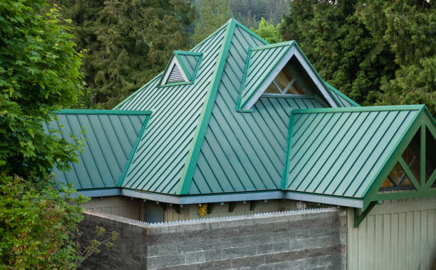 Best Steel Roofing  in Wofford Heights, CA