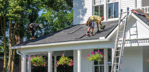 Best Roof Insulation Installation  in Wofford Heights, CA